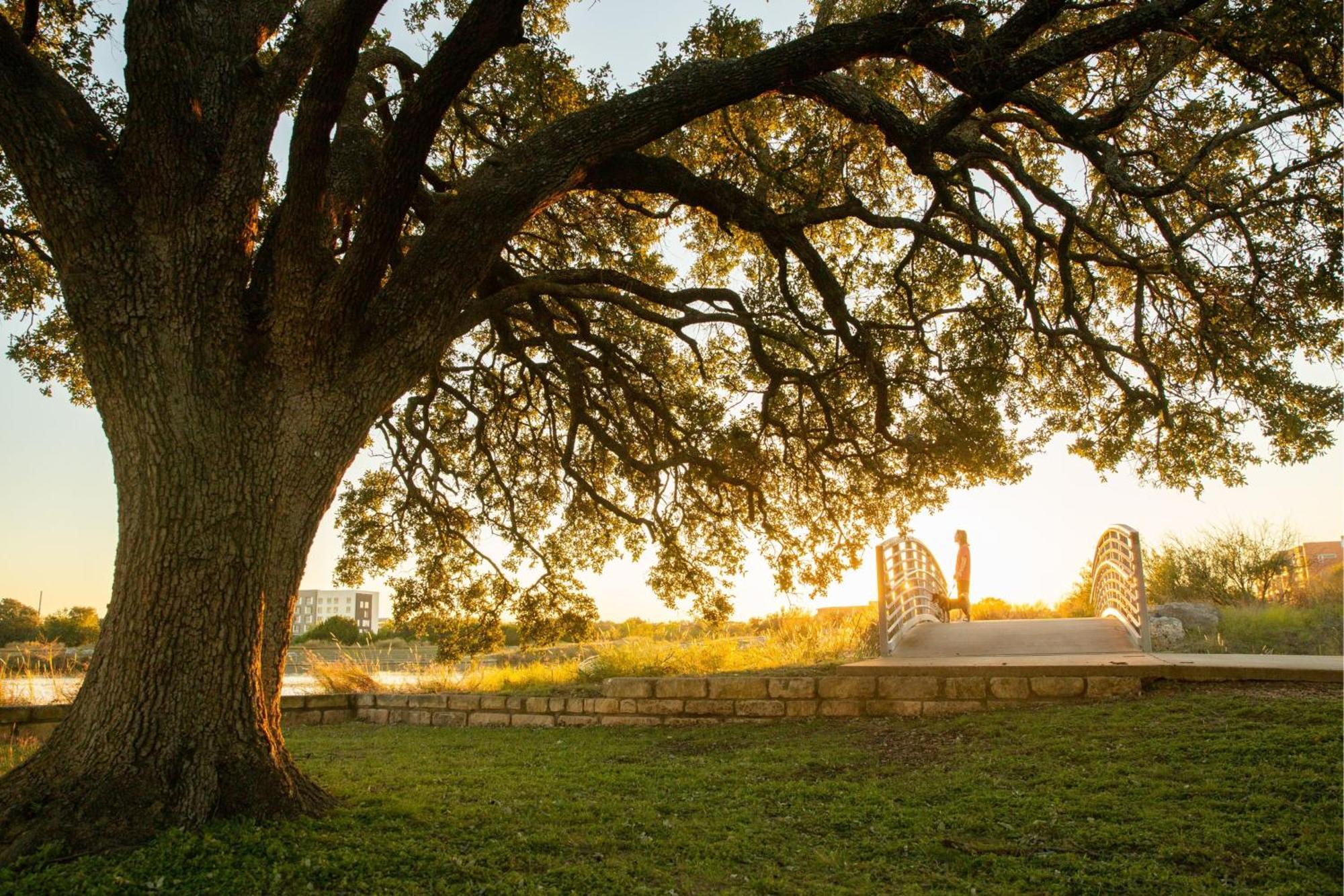 Springhill Suites By Marriott Austin Cedar Park Eksteriør billede